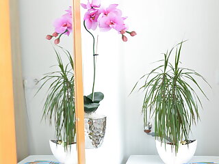 Neuhercz Apartmanok Halaszi szállás