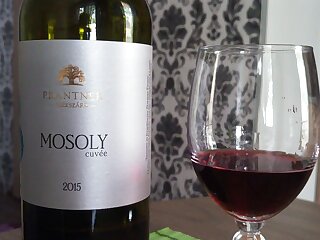 Mosoly Apartman Harkany szállás