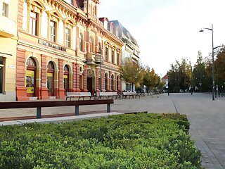 Szilfa Apartman Hodmezovasarhely szállás