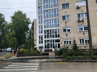 Carlos Guesthouse Apartman Kecskemet szállás