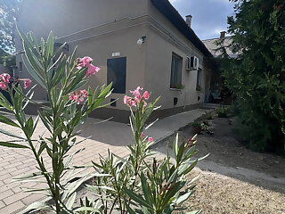 Ajsa Apartman Kiskunhalas szállás