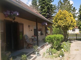Vadkorte Apartman Kisszekely szállás