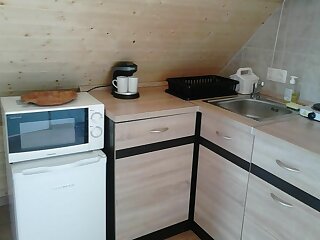 Flora Apartman A Balatonnal Lovas szállás