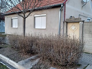 Estike Apartman Mako szállás