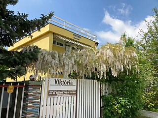 Viktoria Apartman Mezokovesd szállás