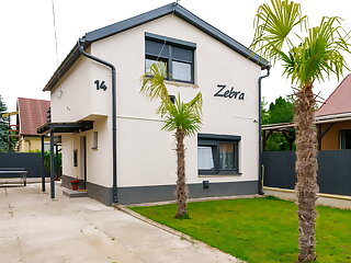 Zebra Apartman Mezokovesd szállás