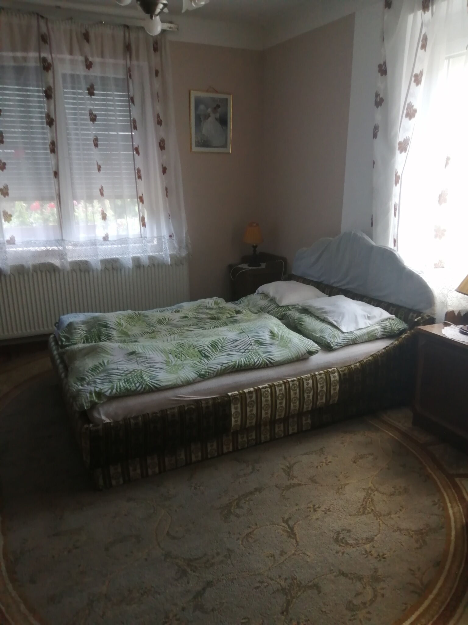 Mari Vendeghaz Balatonendred