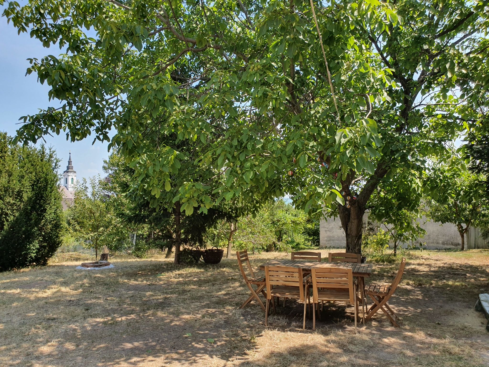 Diofa Vendeghaz Balatonfured