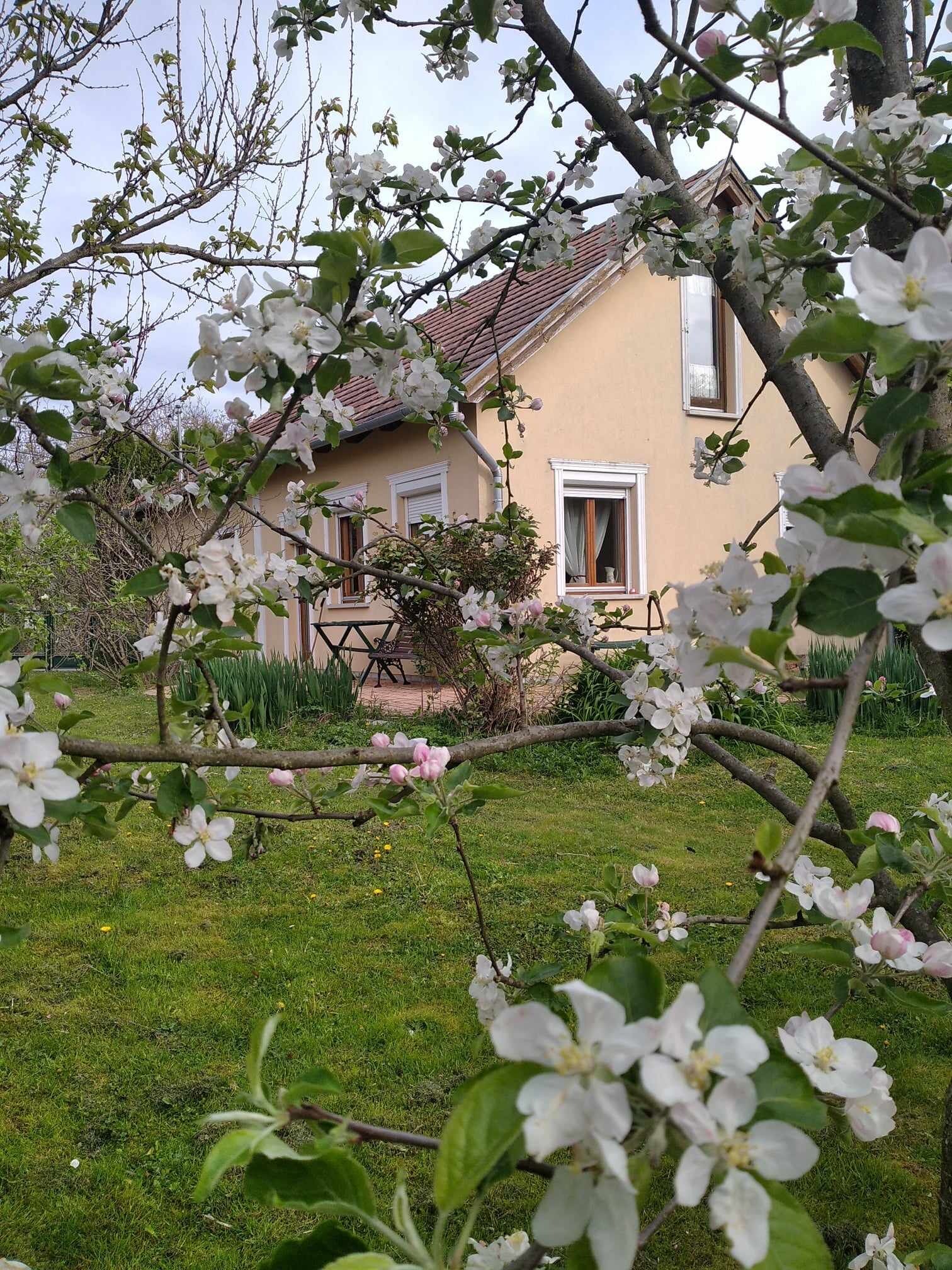 Szegi Menedek Vendeghaz Becsvolgye