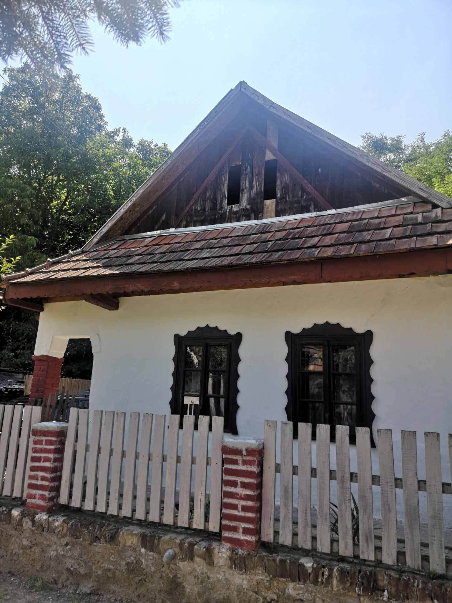 Roza Vendeghaz Bujak