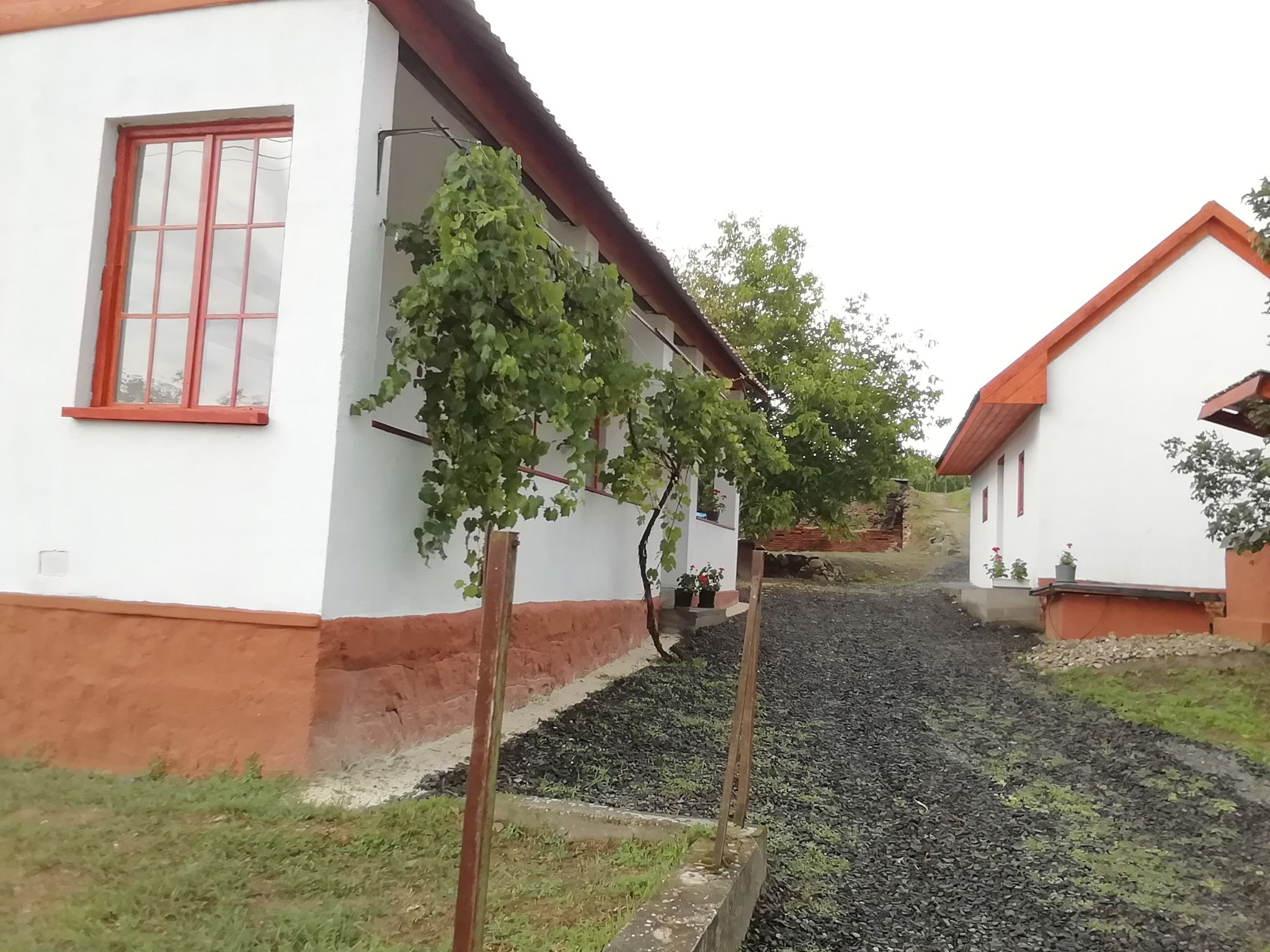 Nagyhalap Vendeghaz Cserhathalap