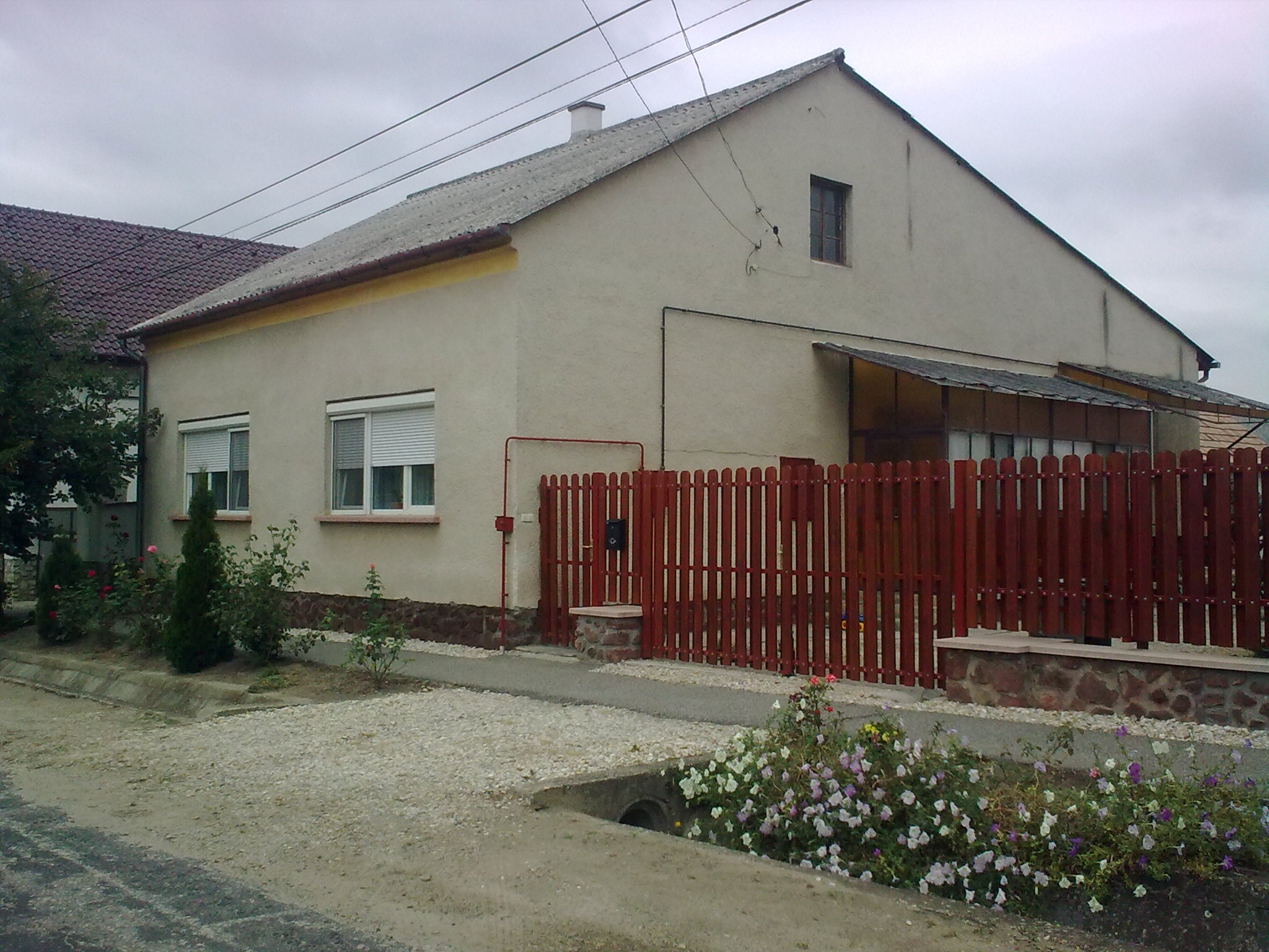Bodzavirag Vendeghaz Hegyko