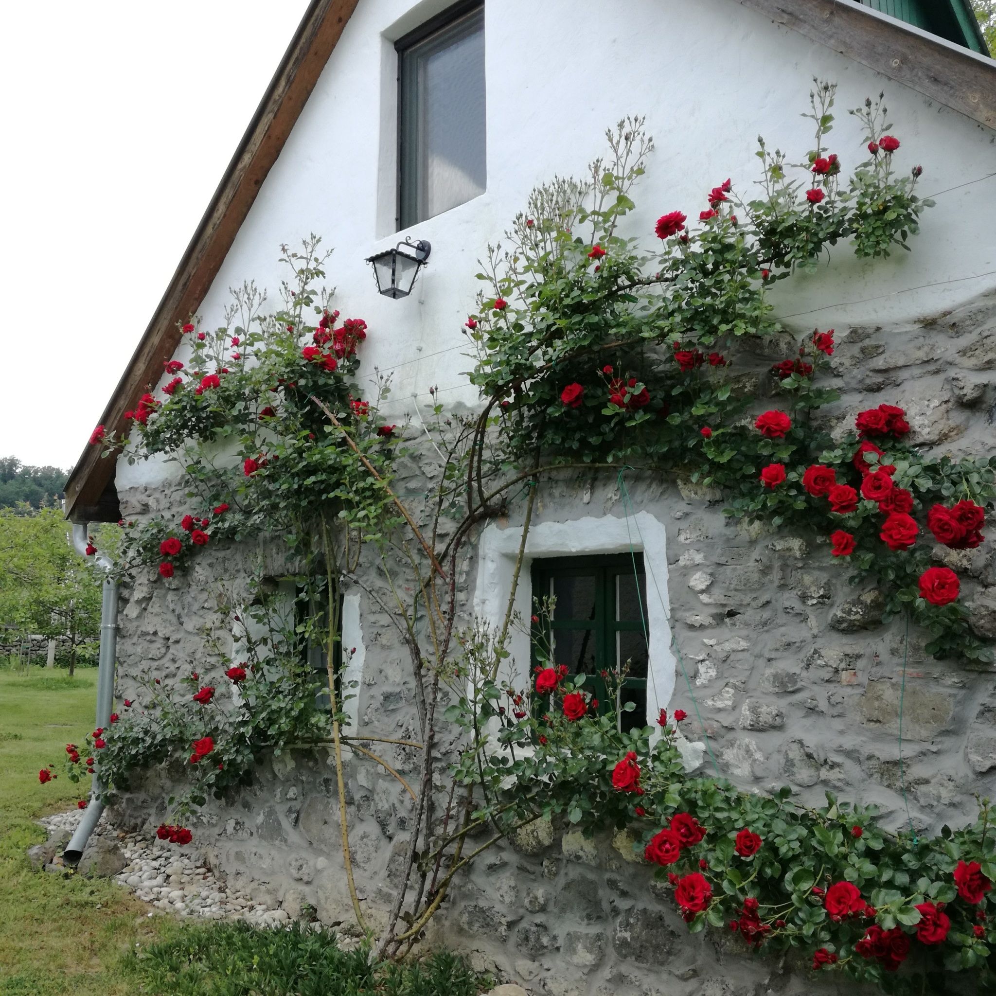 Kapolcs Cottage Vendeghaz Kapolcs