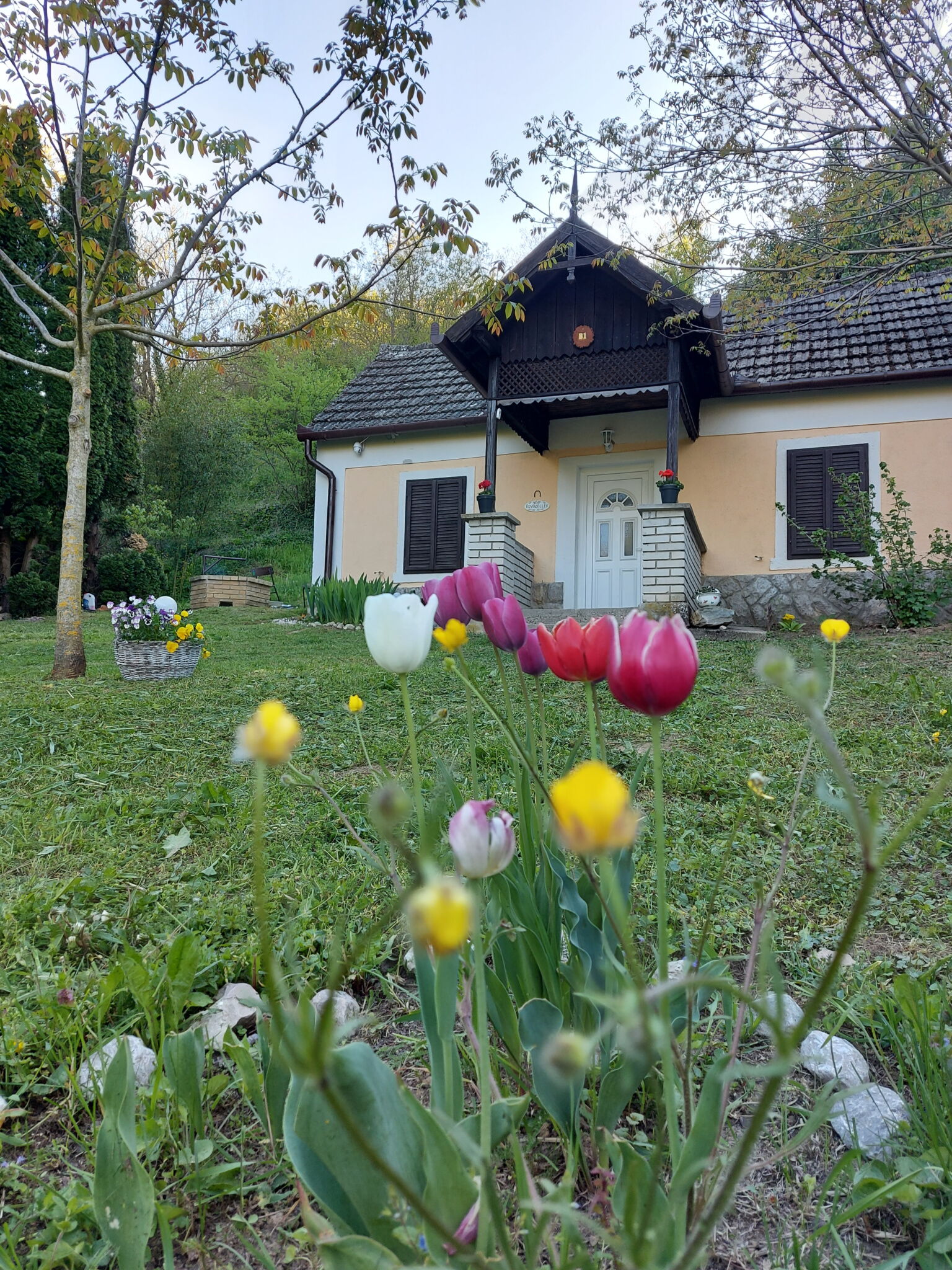 Bibor Erdei Vendeghaz Kaposkeresztur