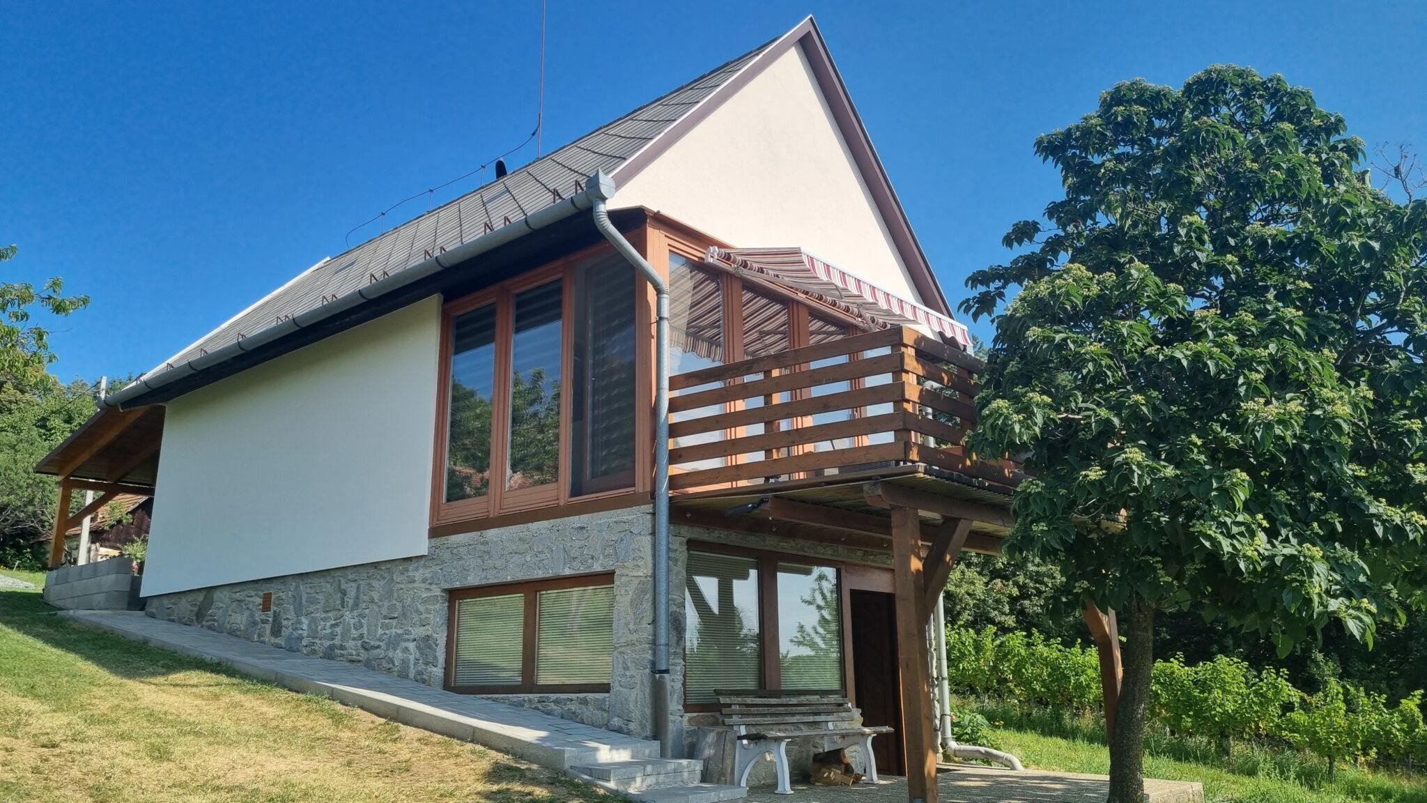 Cedrus Vendeghaz Koszegszerdahely