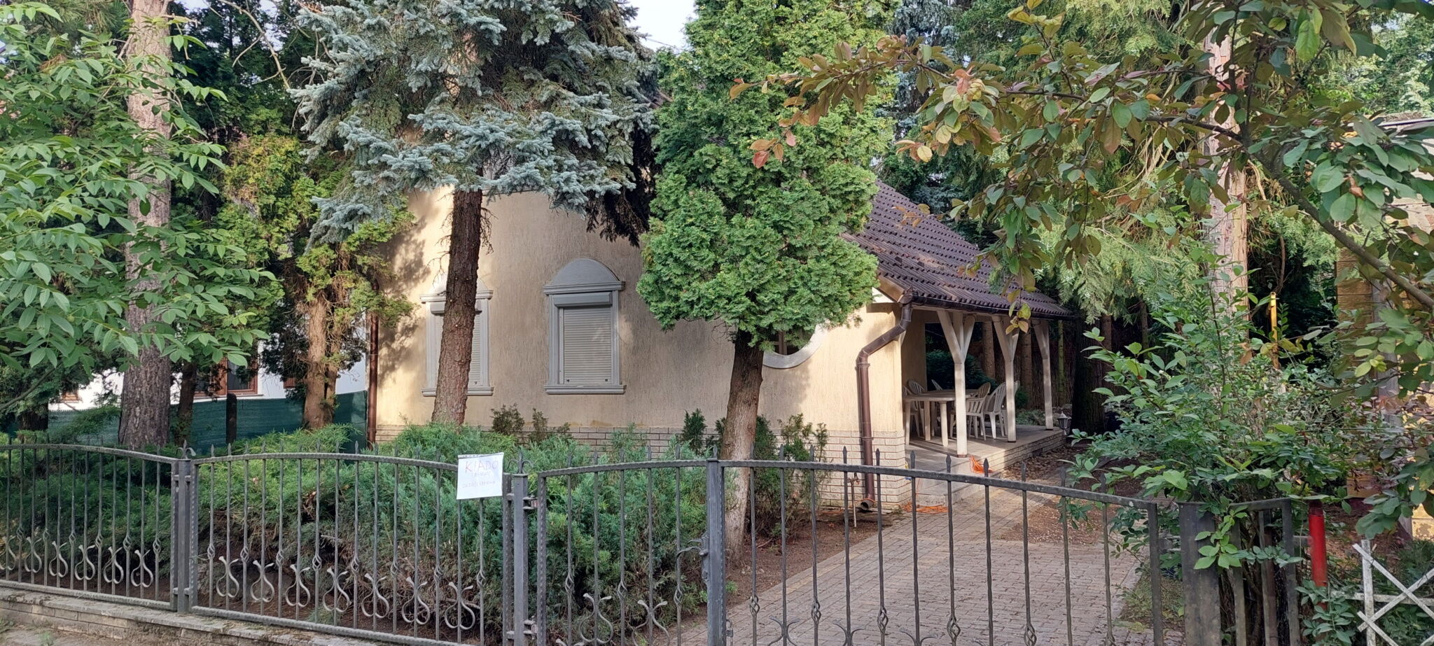 Cedrus Vendeghaz Kunfeherto