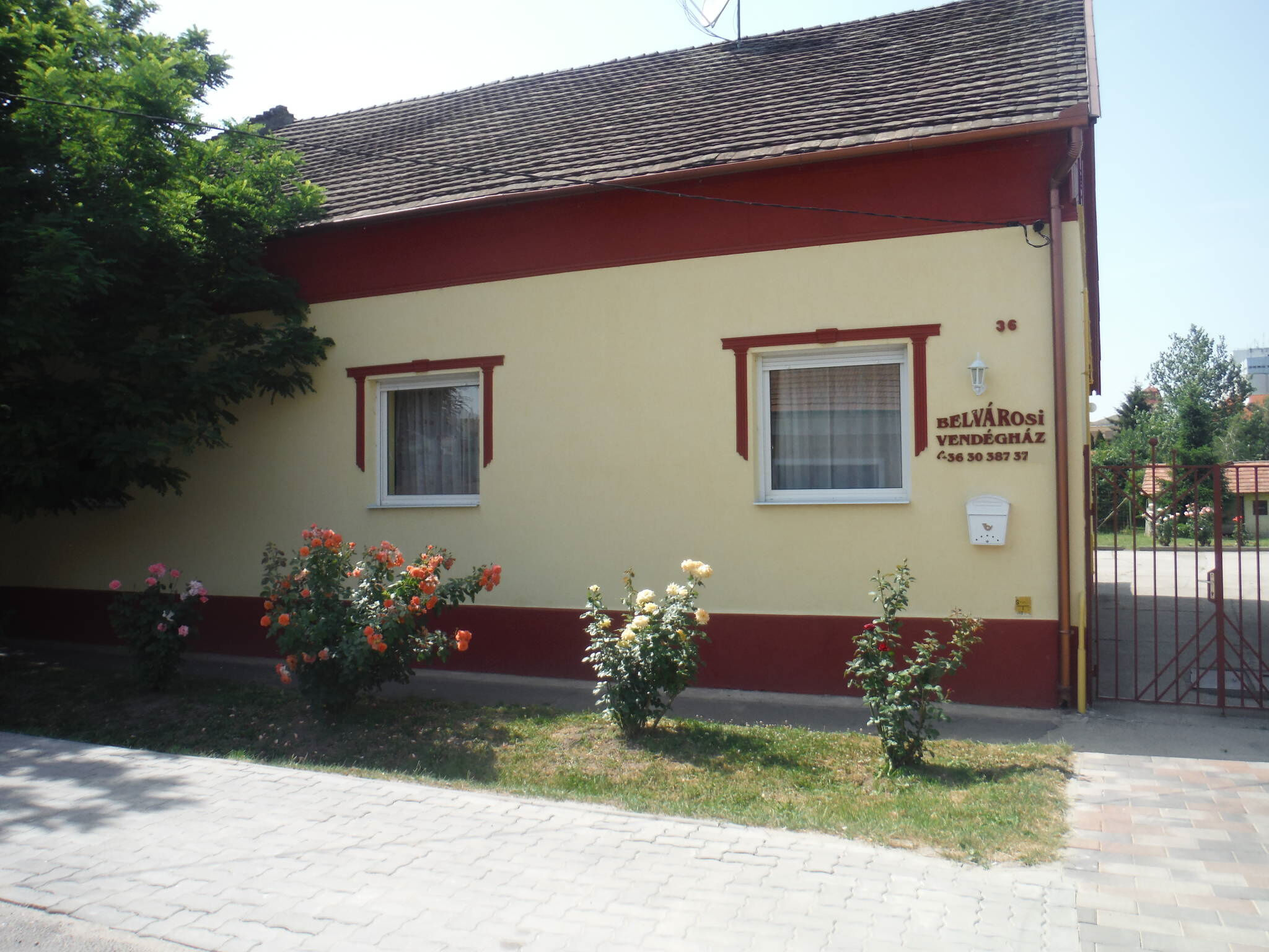 Belvarosi Vendeghaz Oroshaza