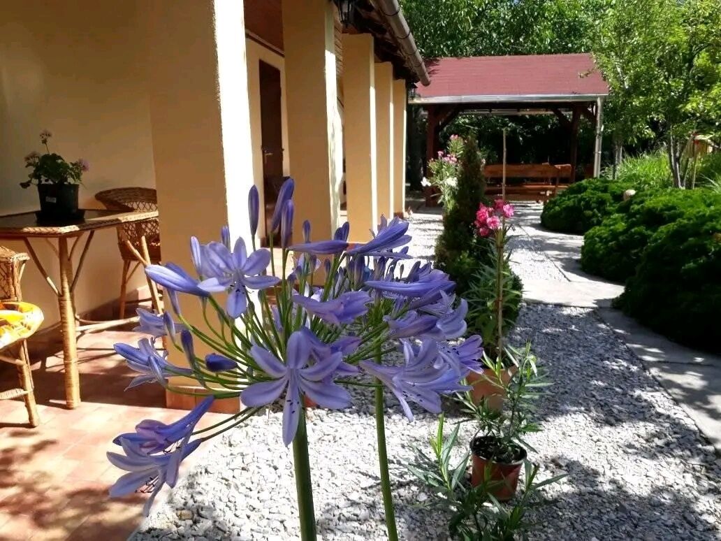 Aranyhal Vendeghaz Poroszlo