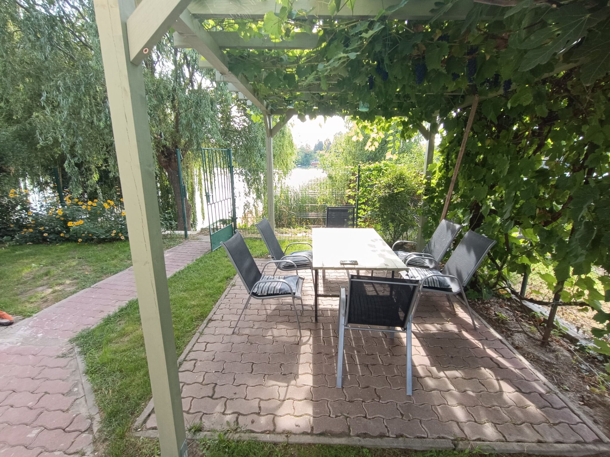 Vizparti Vendeghaz Rackeve