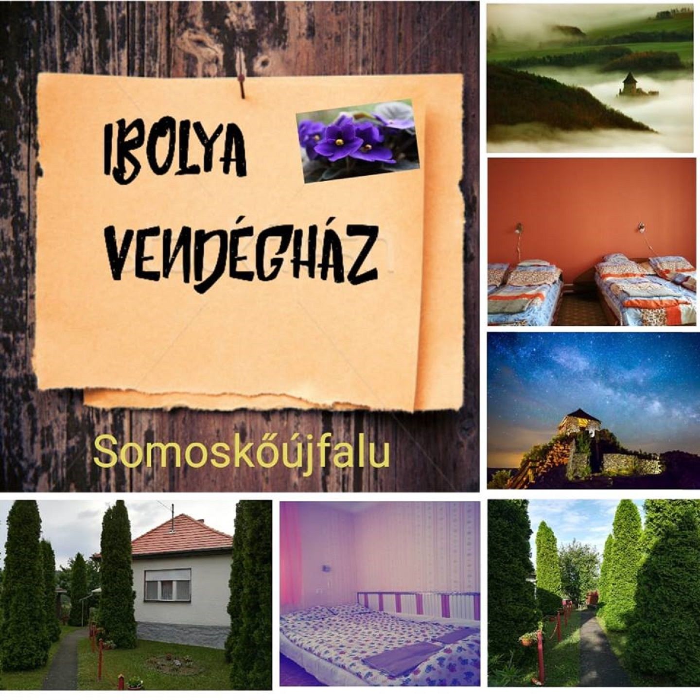 Ibolya Vendeghaz Somoskoujfalu