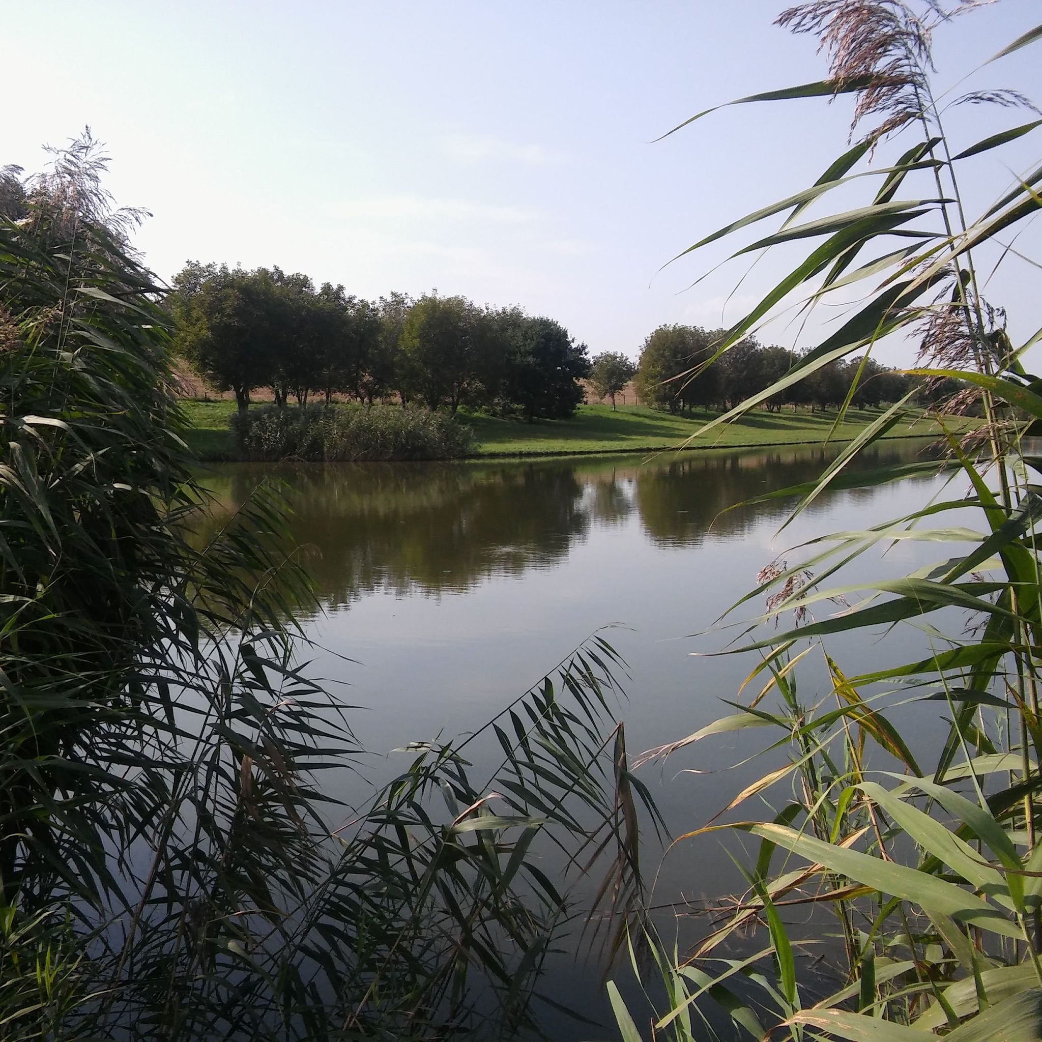 Platan Vendeghaz Szalanta