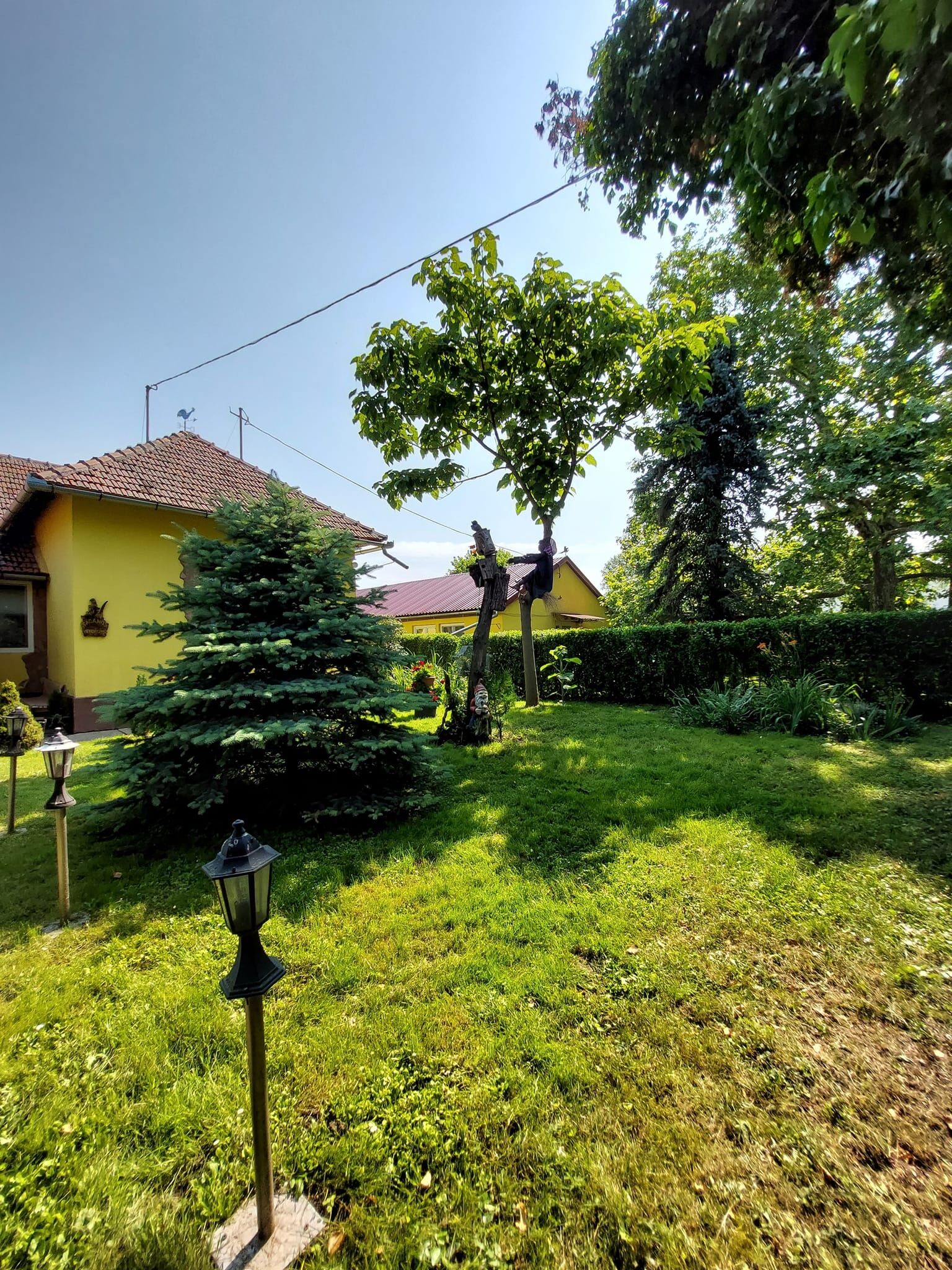 Platan Vendeghaz Szegvar