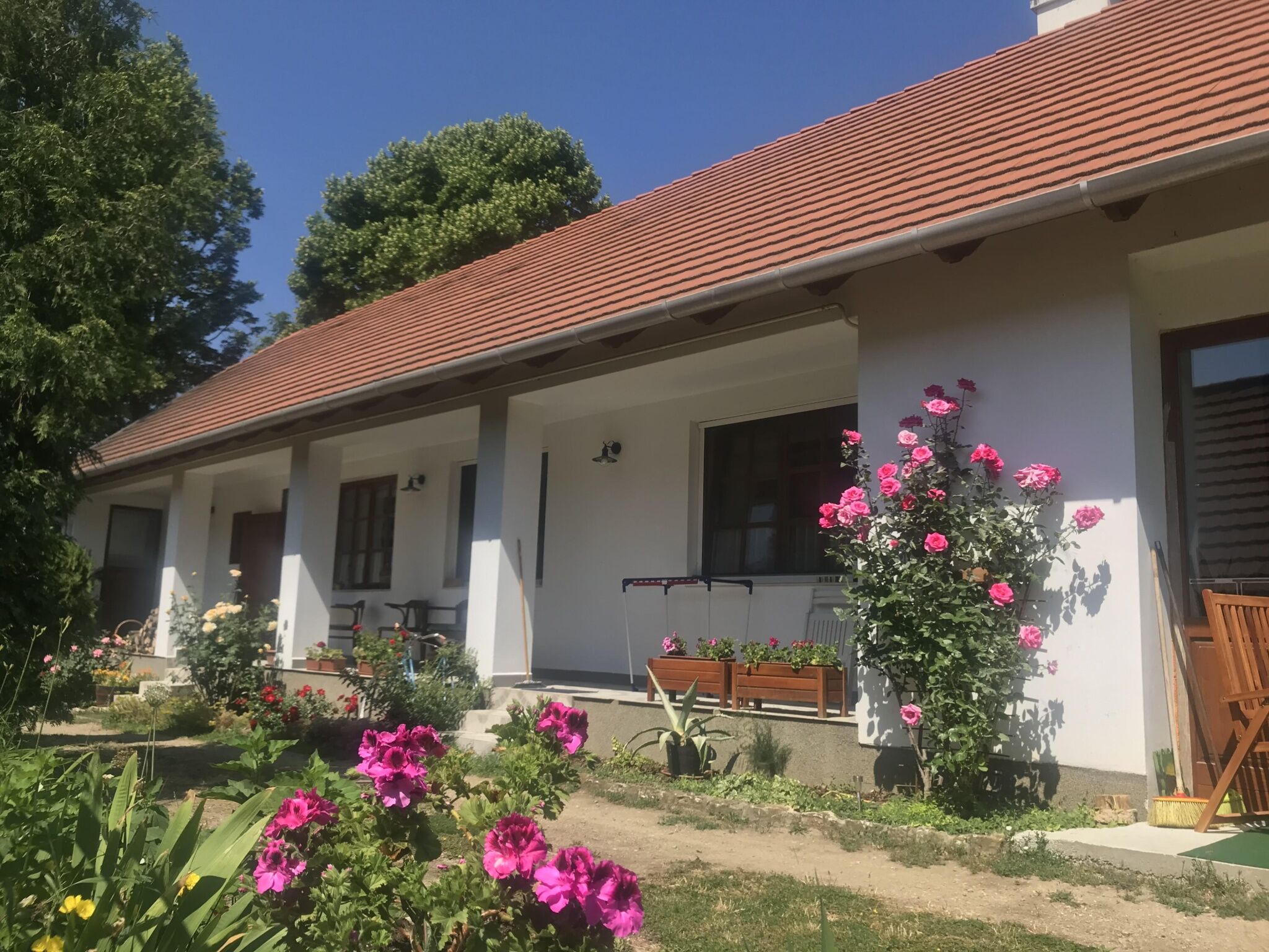 Bakonyi Vadasz Haza Bakonykuti