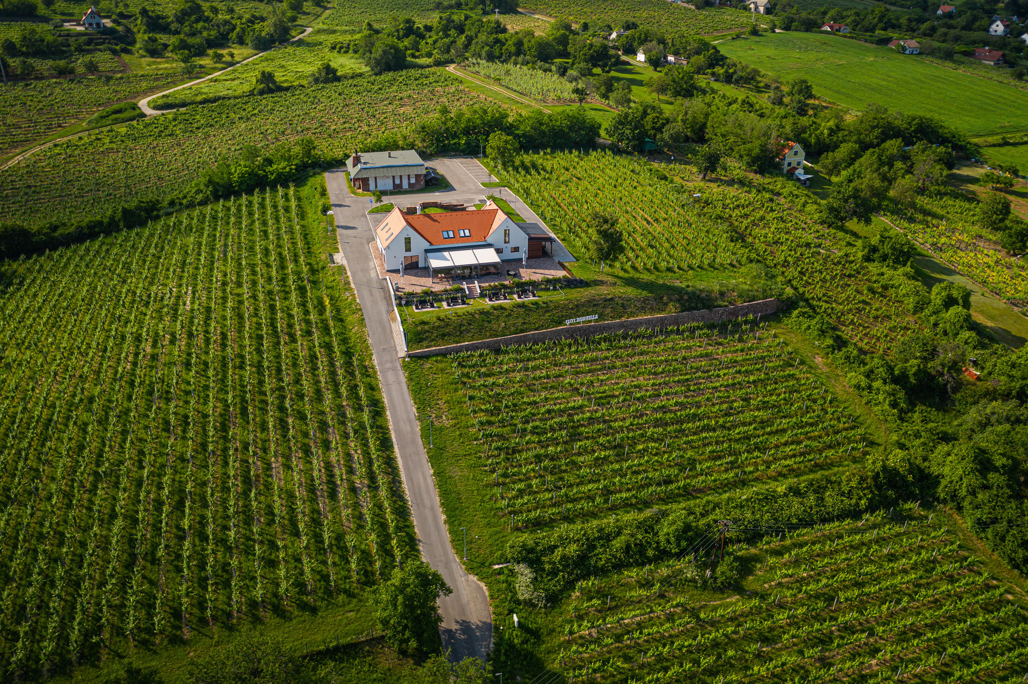 Vitis Kuria Balatonrendes