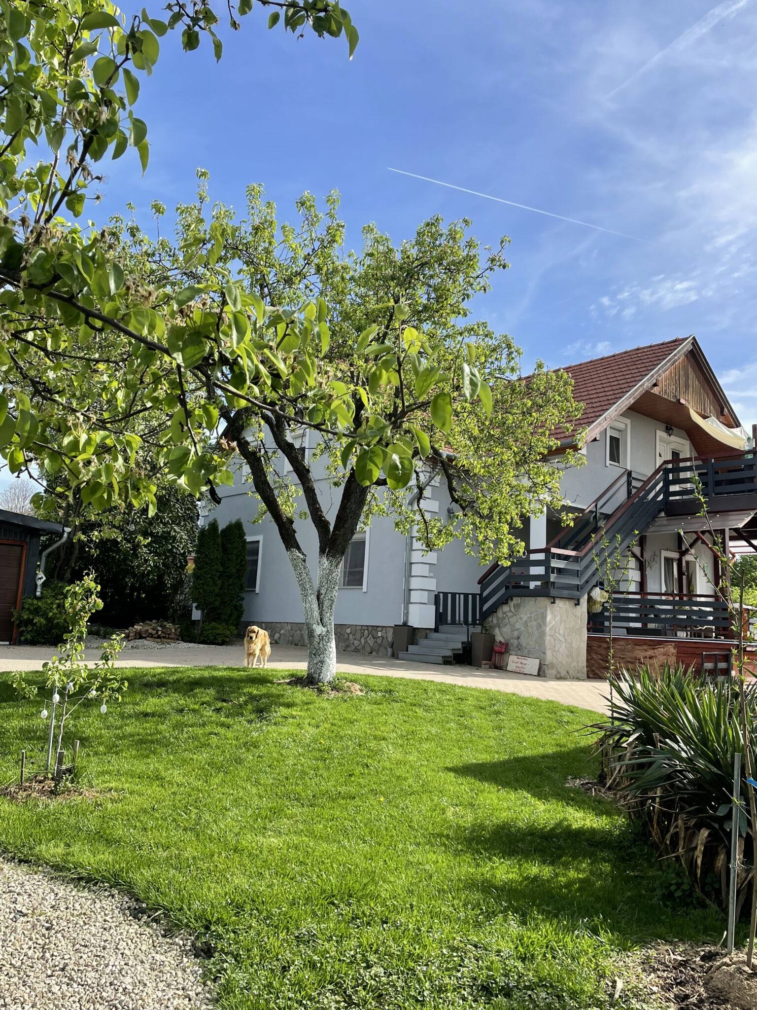 Horseshoe Guesthouse Cserszegtomaj