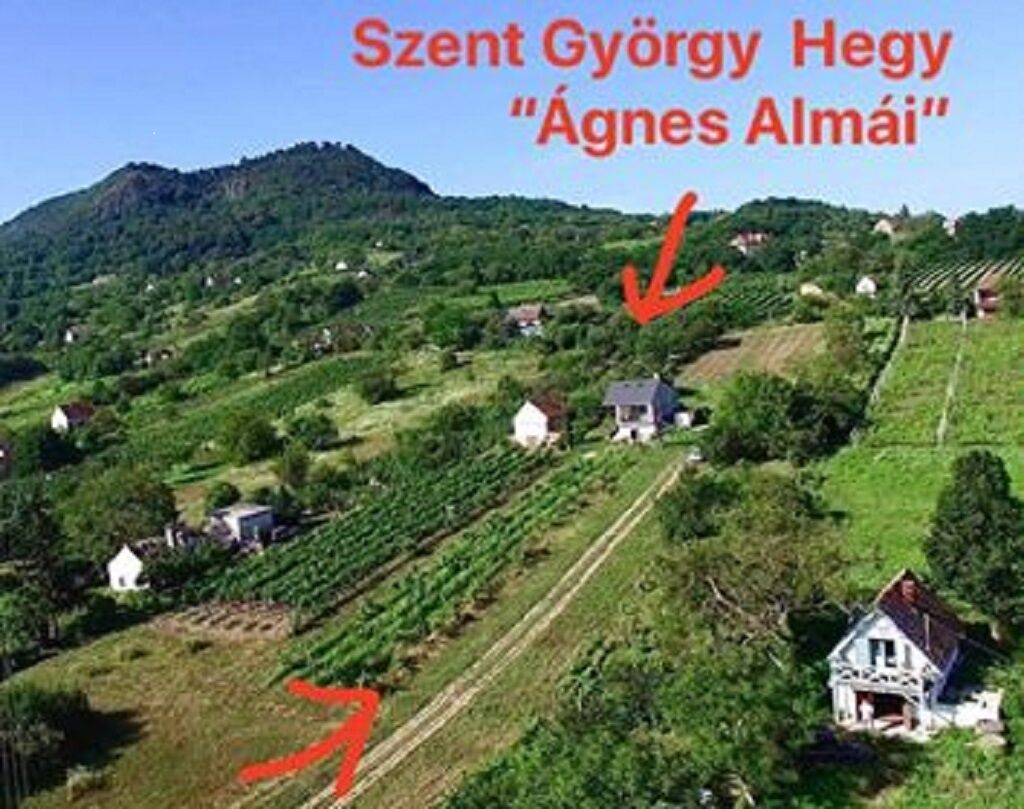 Agnes Almai Preshaz Kisapati