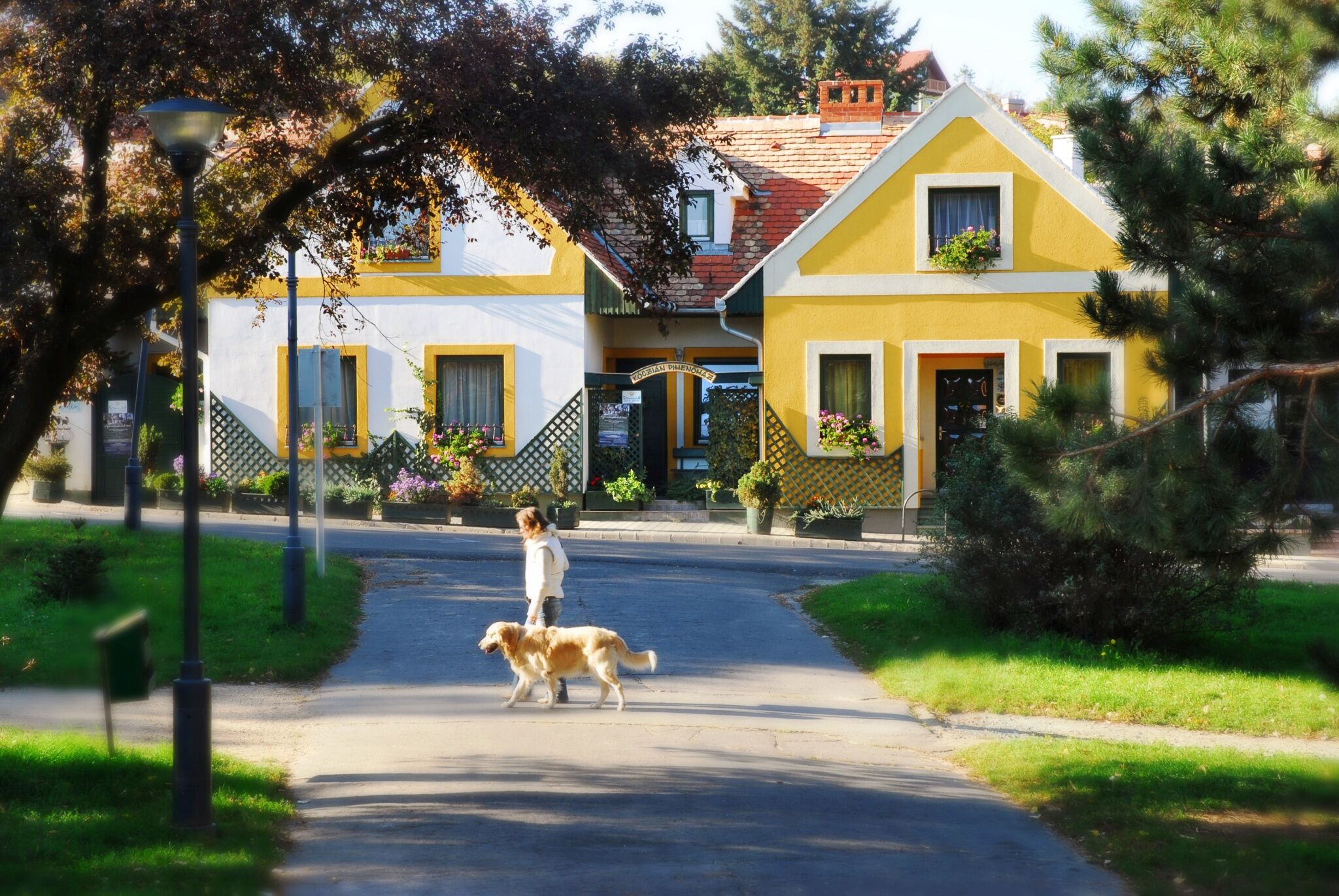 Koczian Pihenohaz Koszeg