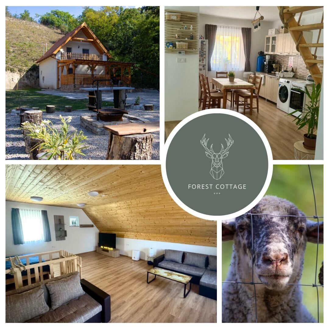 Forest Cottage 2024 Labatlan