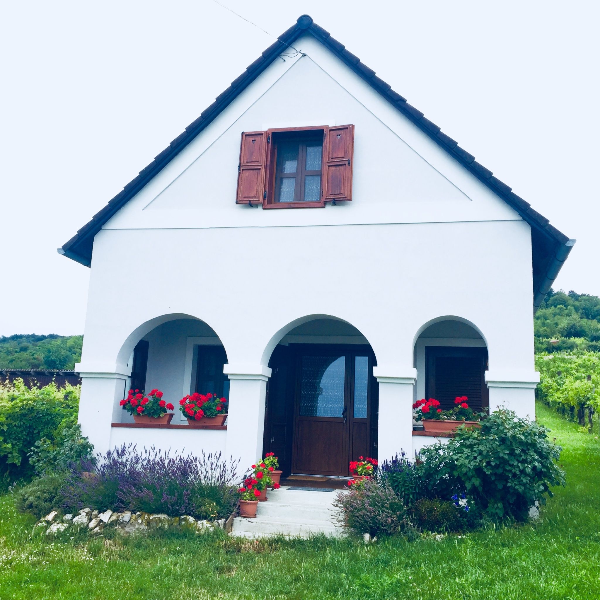 Balaton Felvideki Feher Porta Pecsely