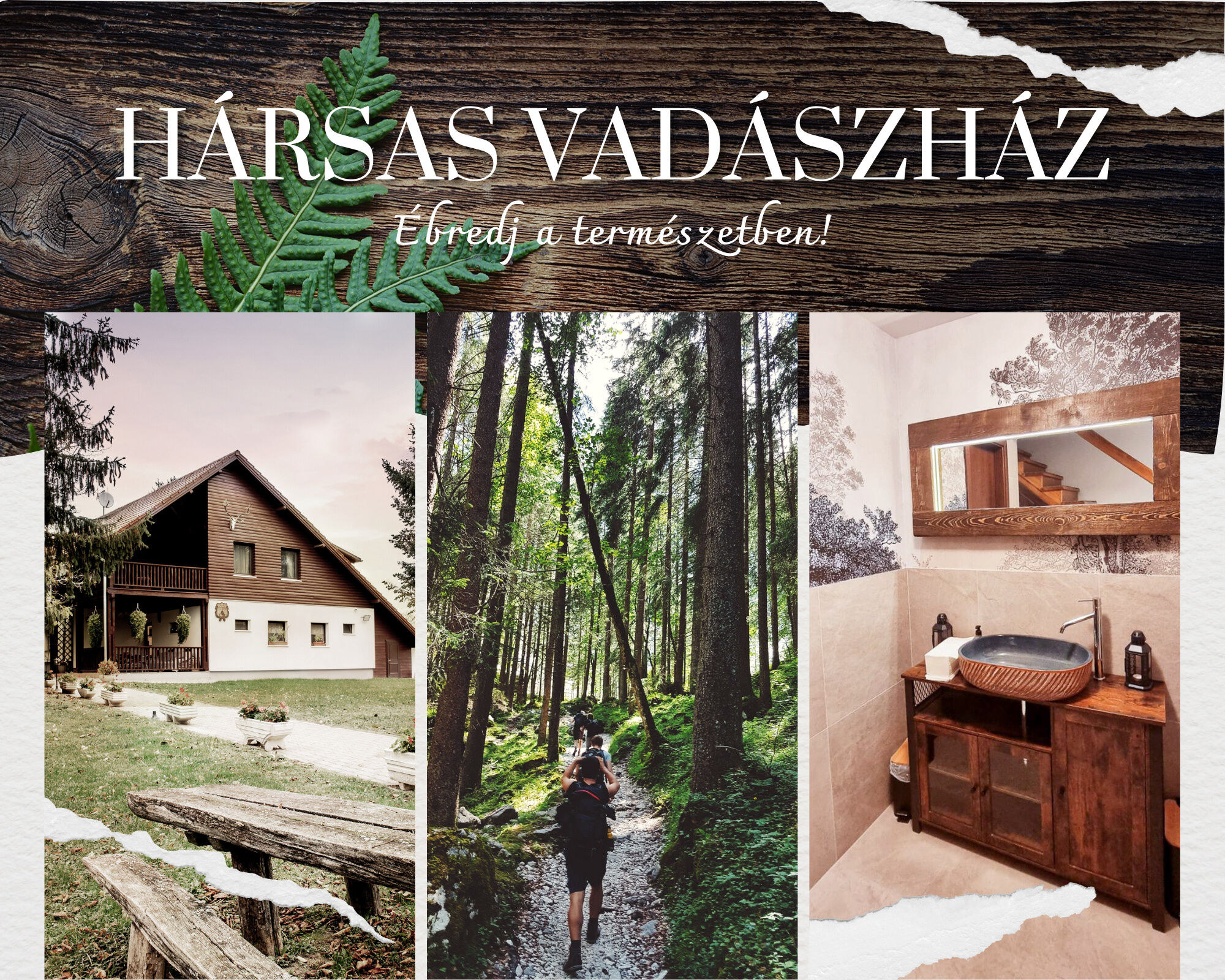 Harsas Vadaszhaz Somogytur