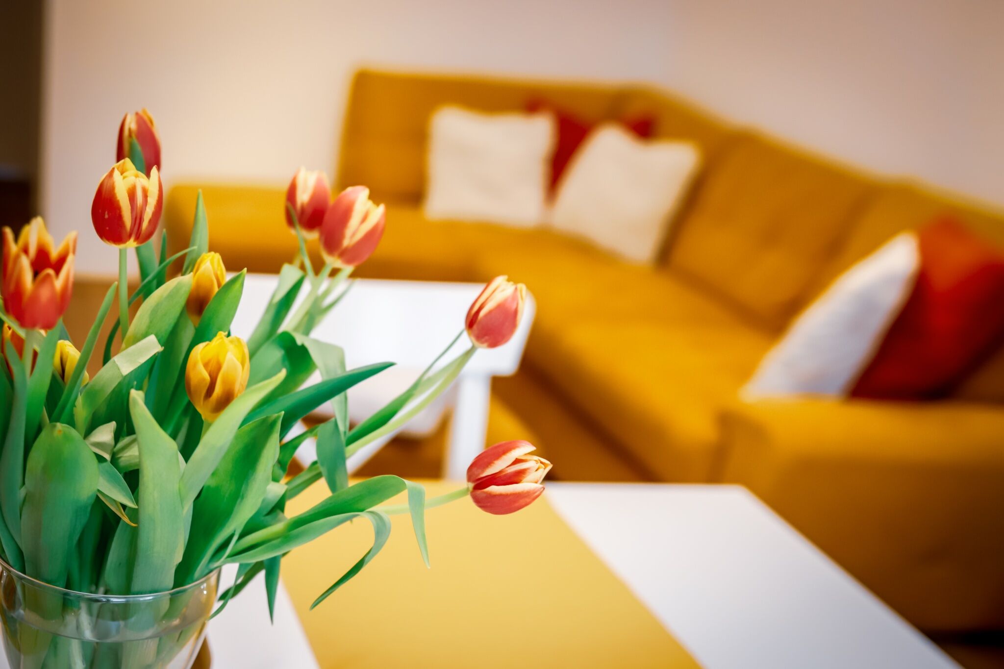 Cozy Apartman Gyor