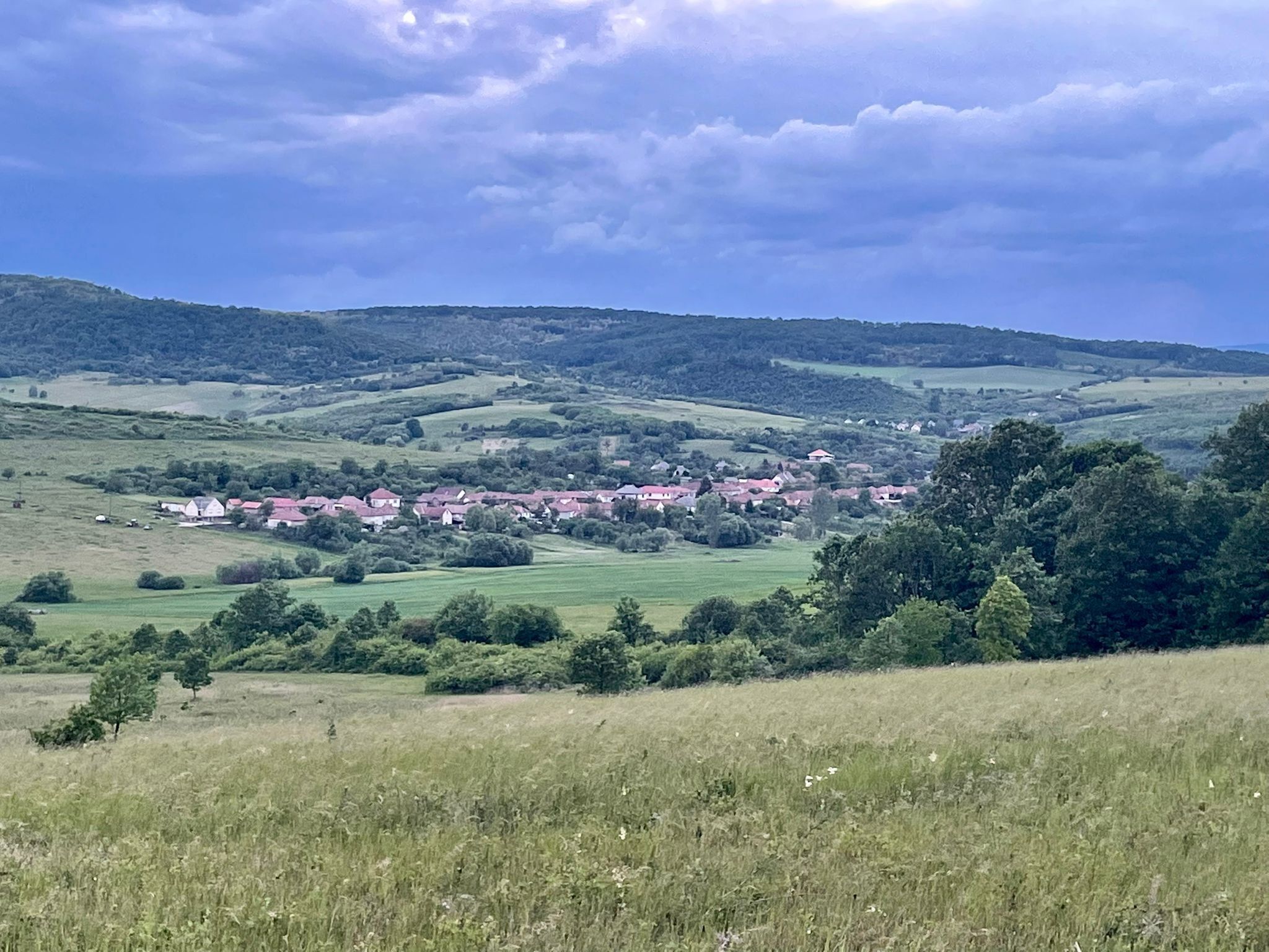 Emberi Nyaralo Szuhogy