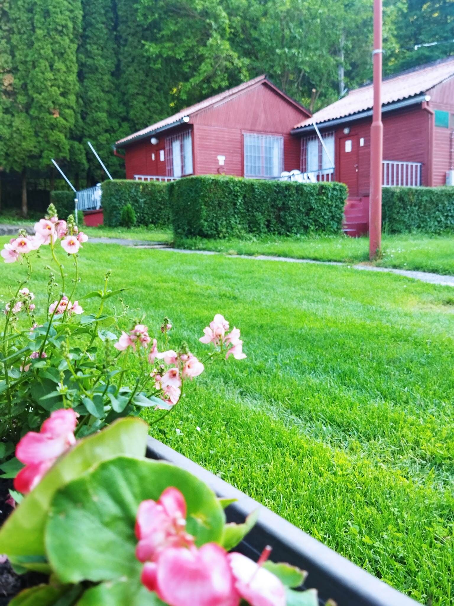 Mecsek Viragai Lak Apartman Magyarhertelend