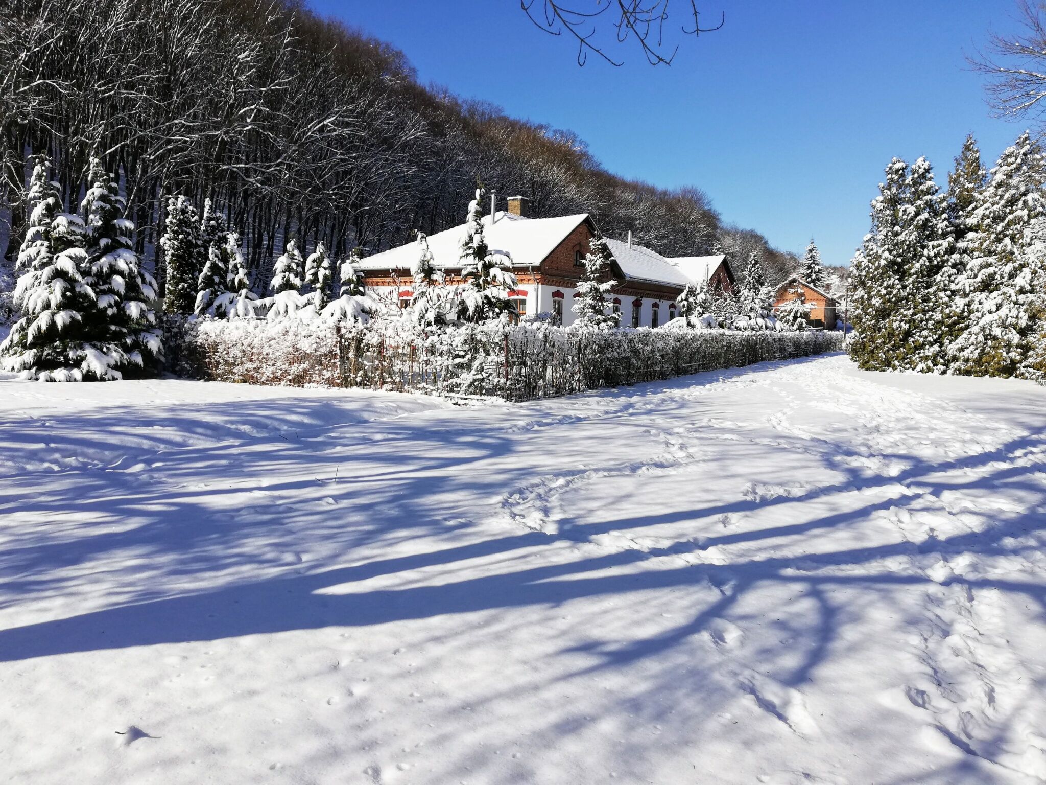 Parva Foresta Apartman Miskolc