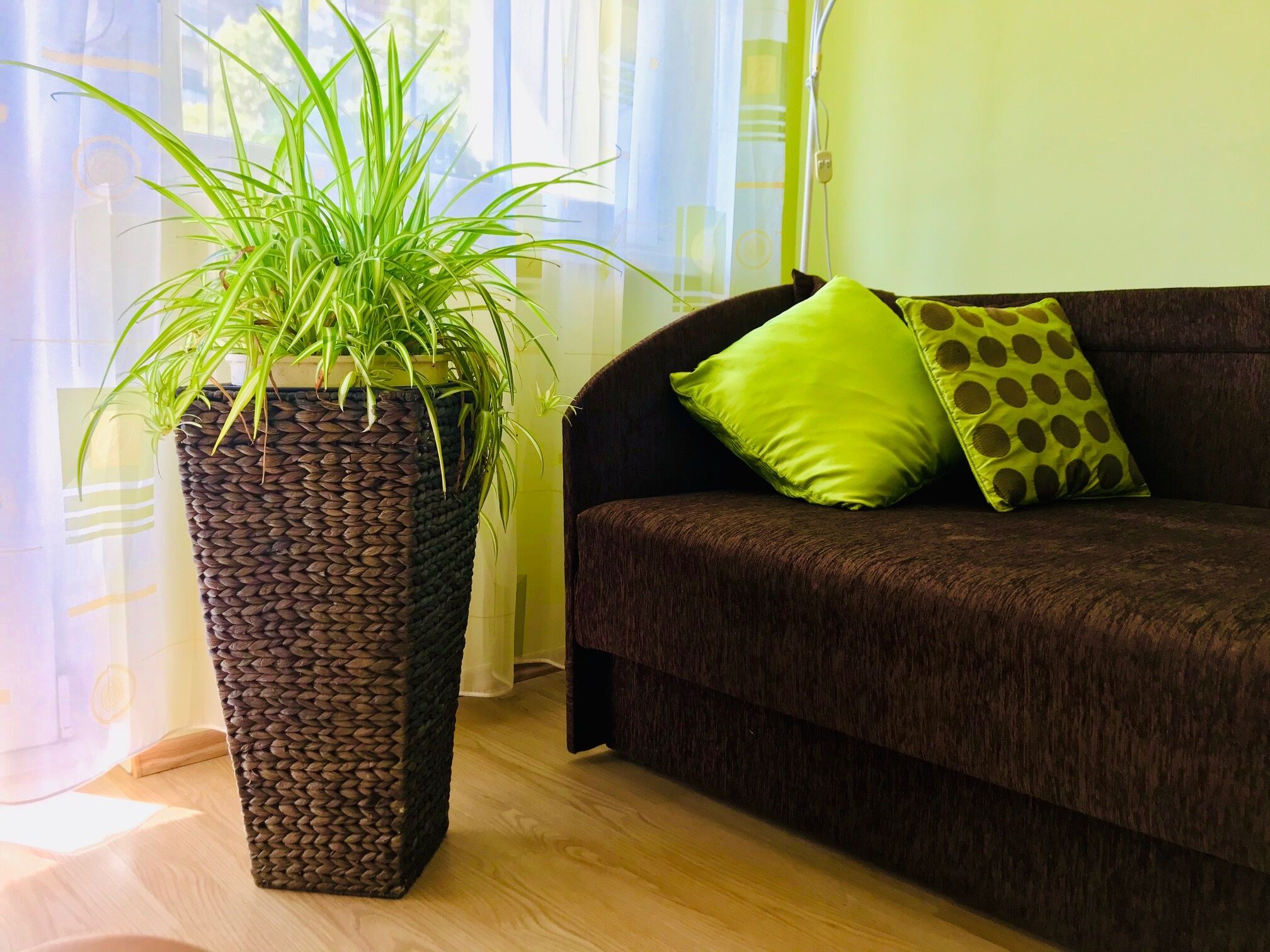 Centrum Apartman Szentes