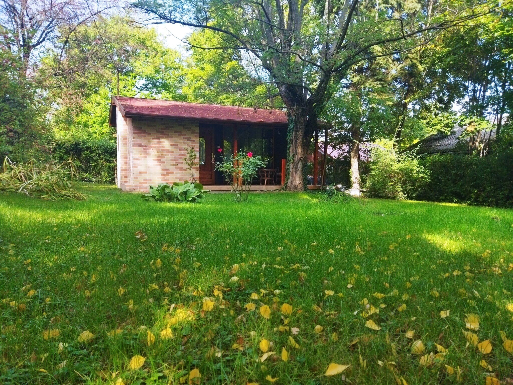 Daniel Apartman Tahitotfalu