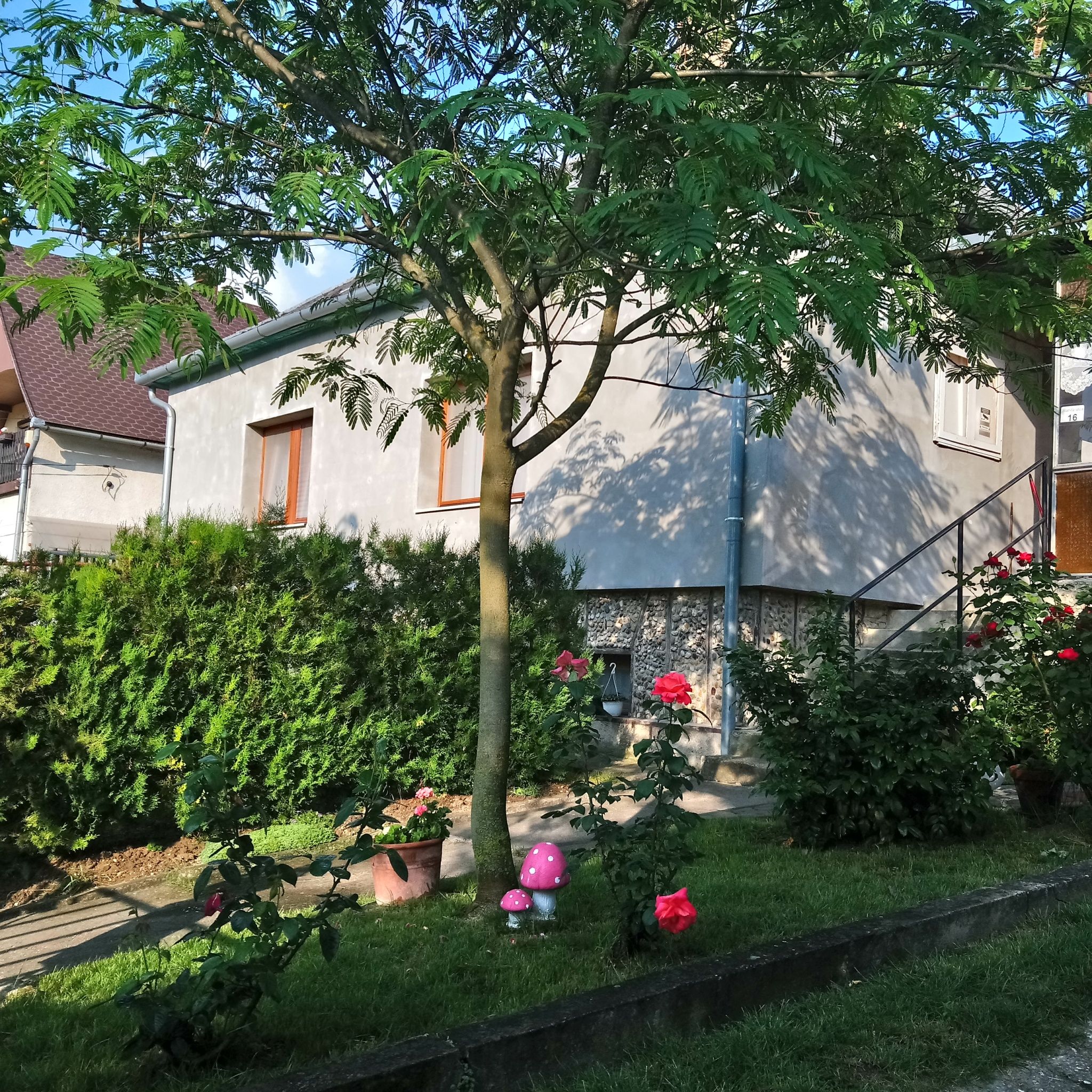 Harsfa Apartman Tamasi