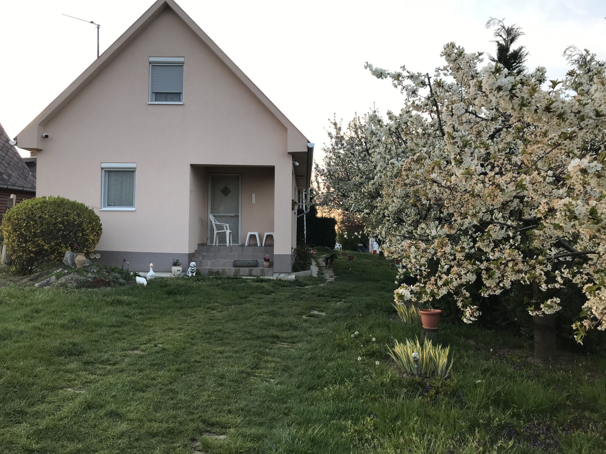 Zsuti Apartman Tarpa