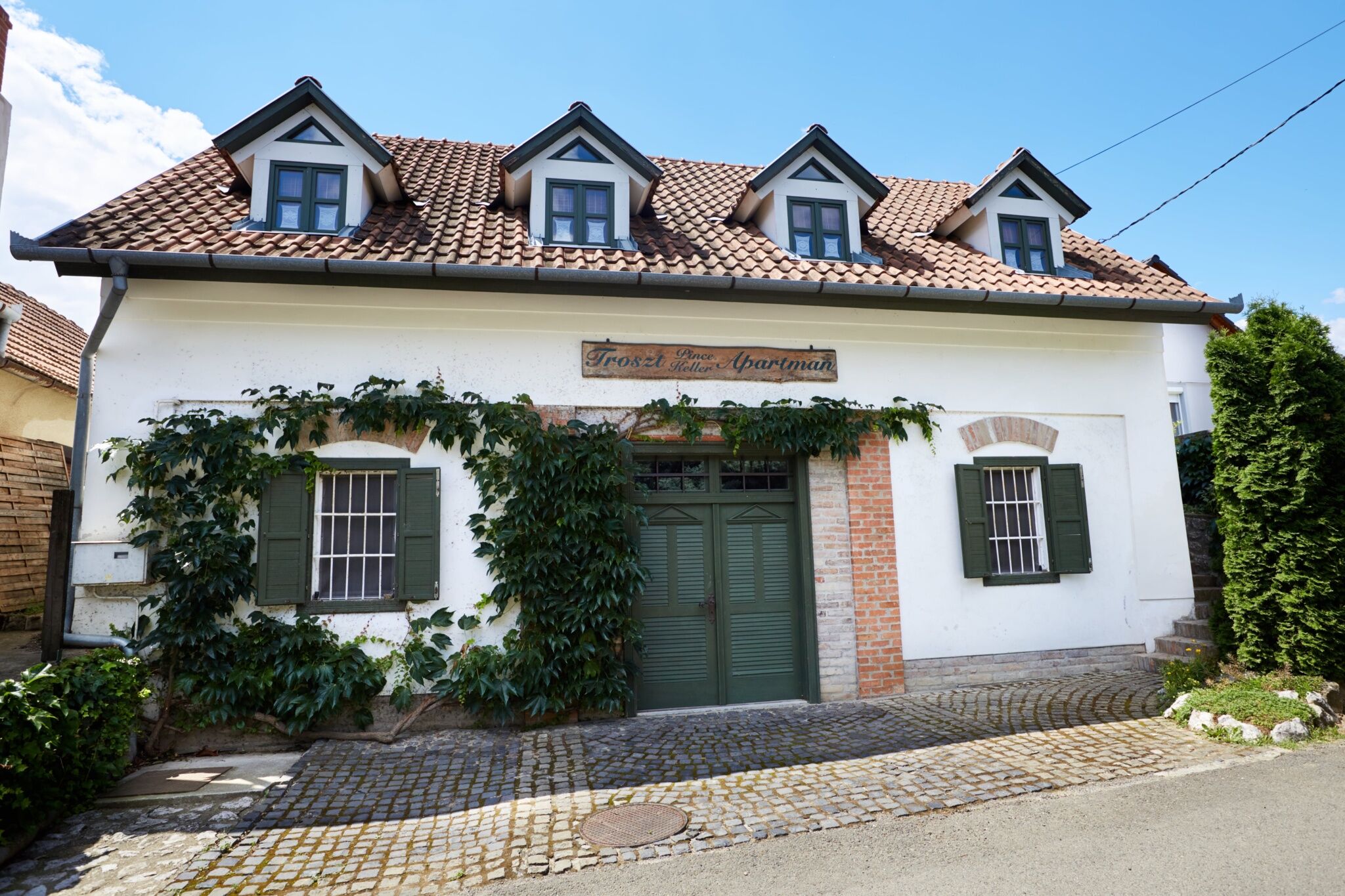 Troszt Pince Es Apartman Villany