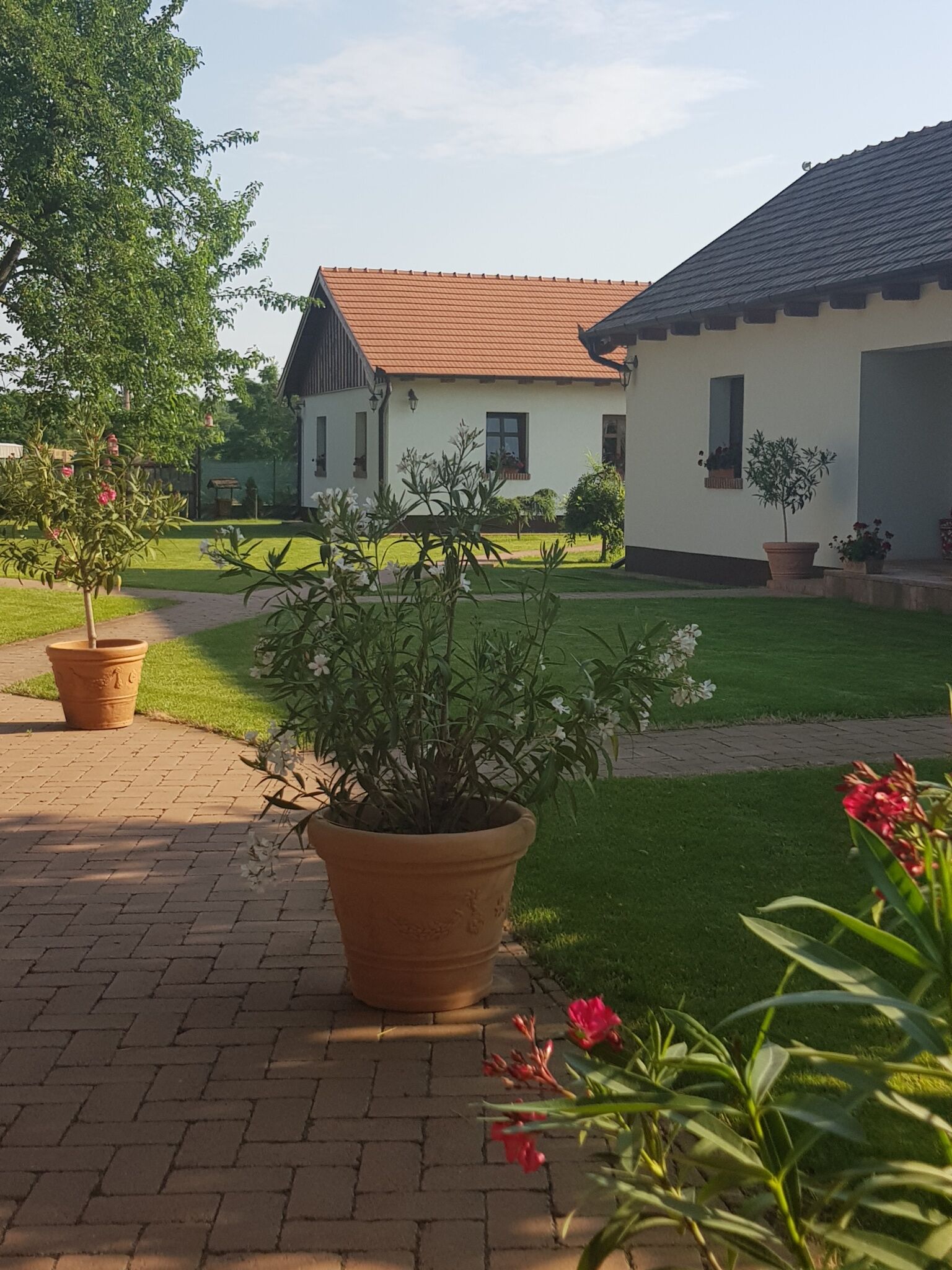 Toth Vendeghaz Es Apartmanhaz Ujfeherto