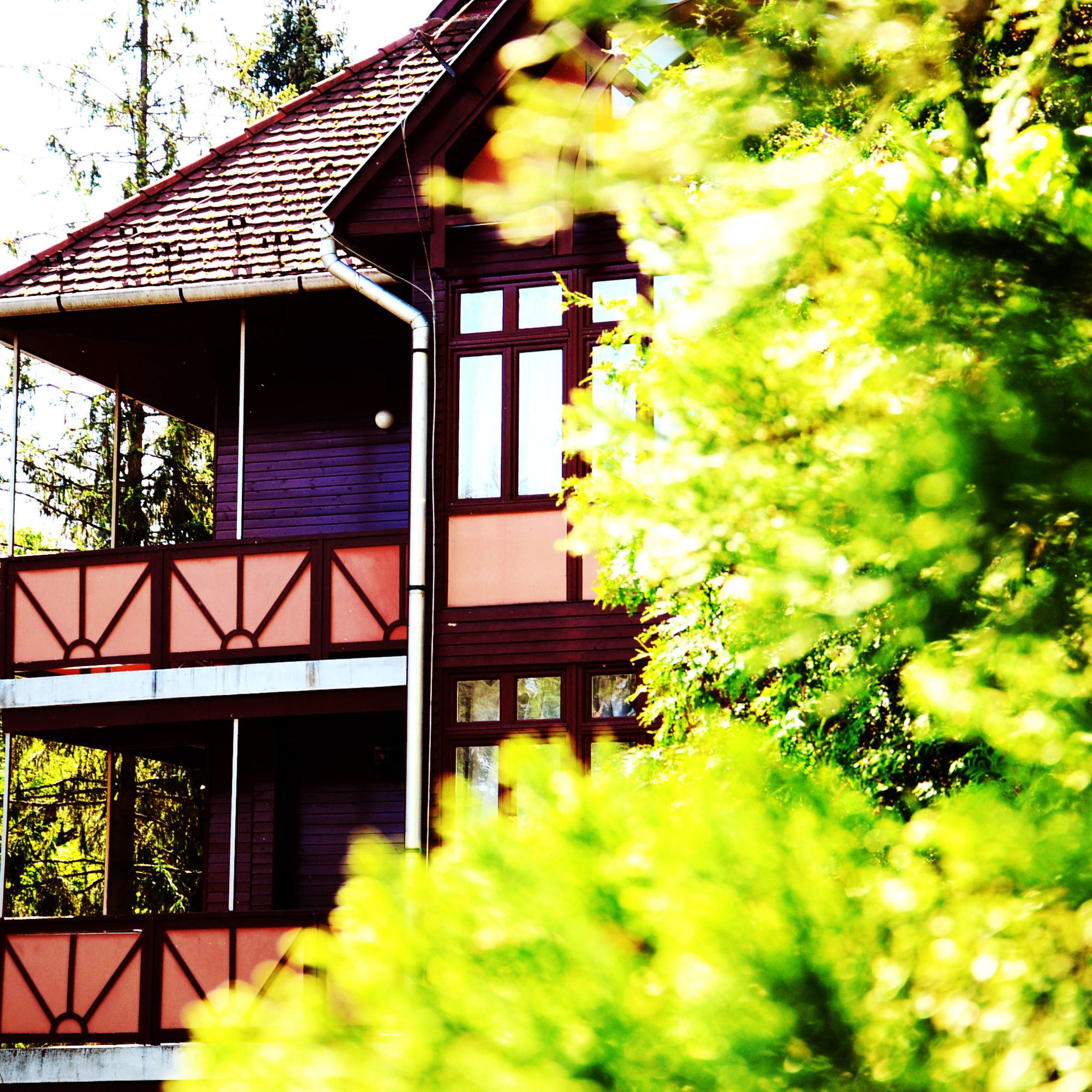 Ezustfenyo Hotel Telkibanya