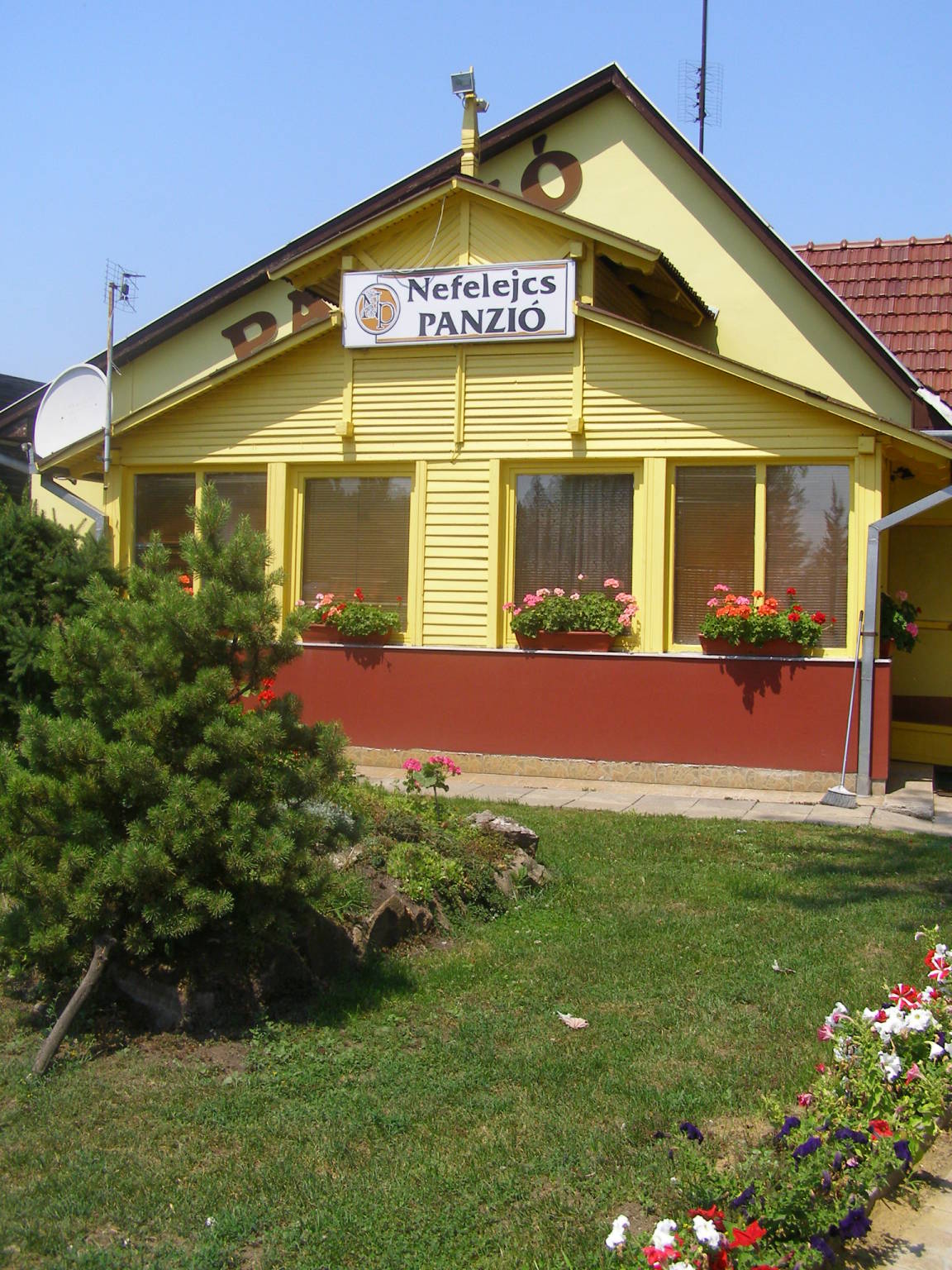 Nefelejcs Panzio Mateszalka